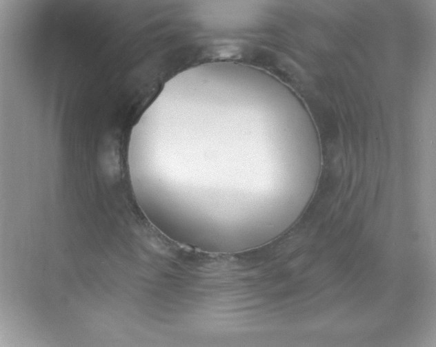 X0000071941442200607212148