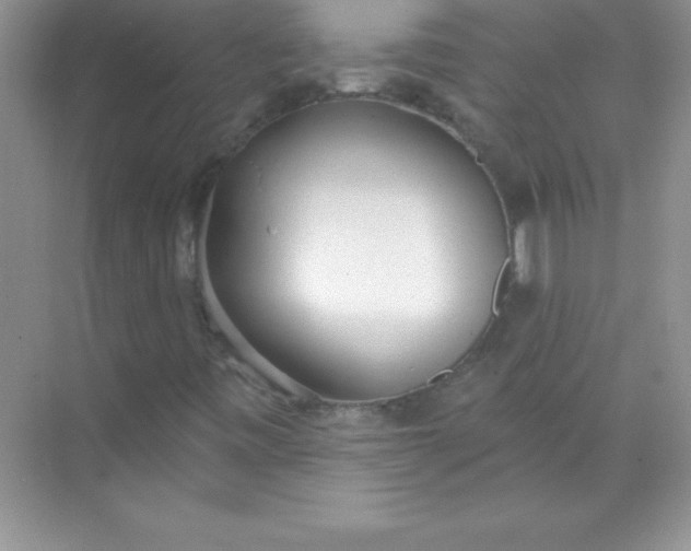 X0000071941443200607212148