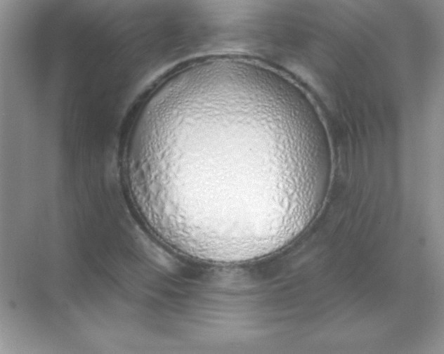 X0000071941452200607212148