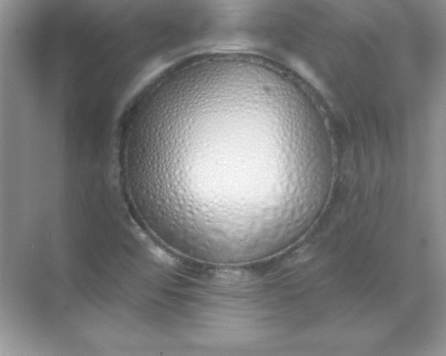 X0000071941456200607212148