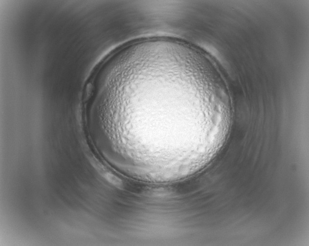 X0000071941460200607212148