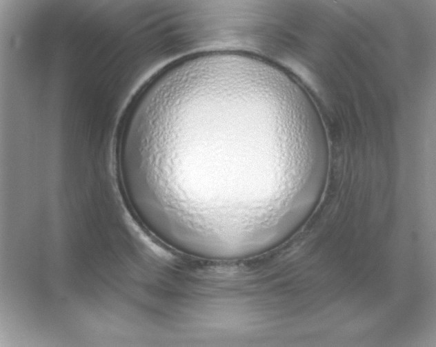 X0000071941468200607212148
