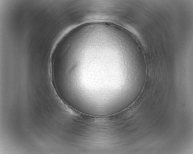 X0000071941472200607212148