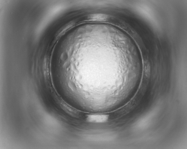X0000071941487200607212147