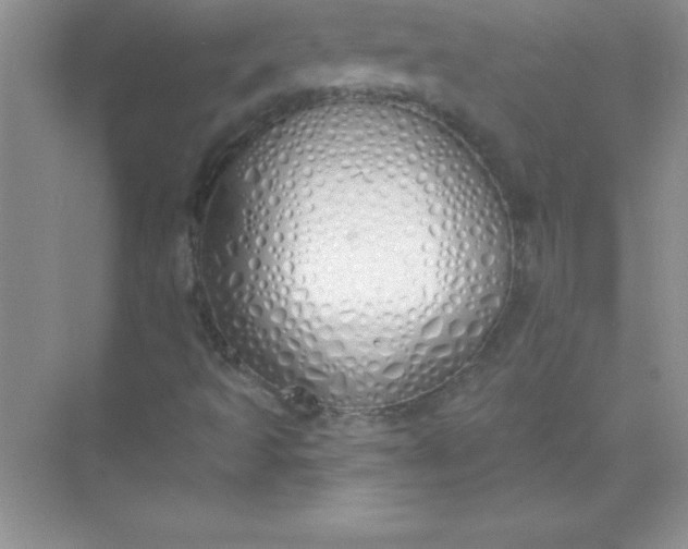 X0000071941493200607212147