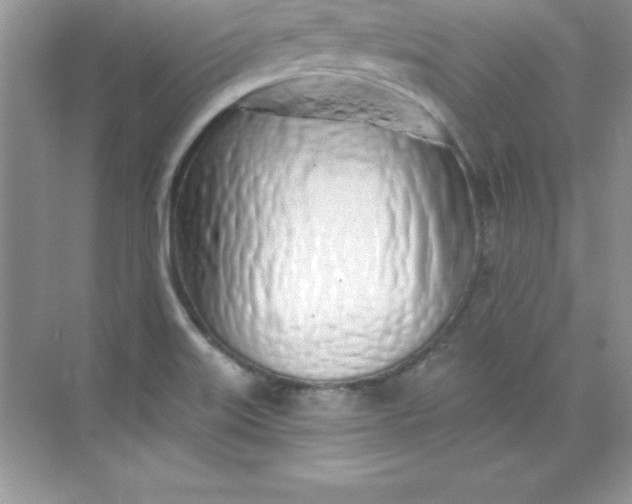 X0000071941515200607212147