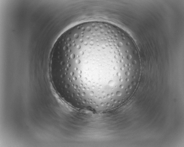 X0000071941534200607212147