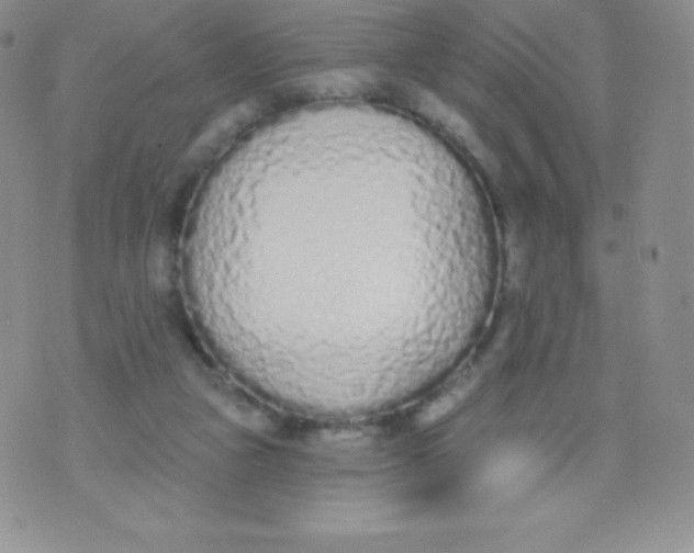 X0000071940161200607281952