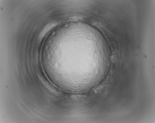 X0000071940242200607281950