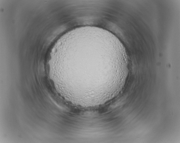 X0000071940251200607281950