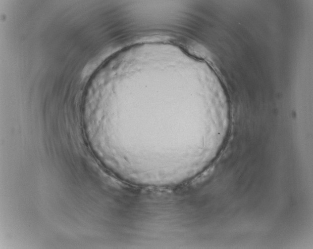 X0000071940337200607281949