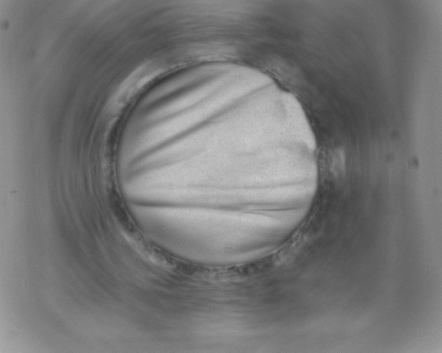 X0000071940339200607281949