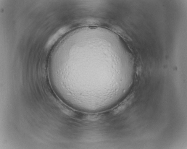 X0000071940341200607281949
