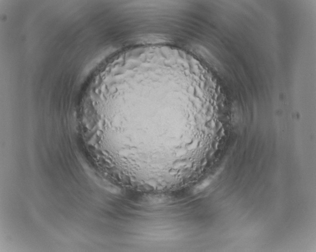X0000071940351200607281949