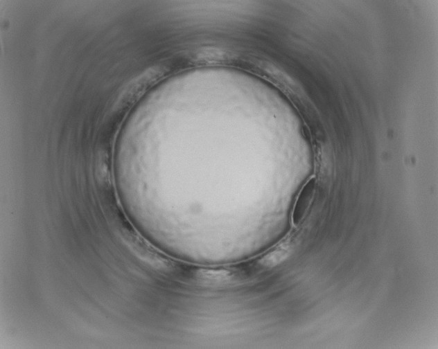 X0000071940361200607281949