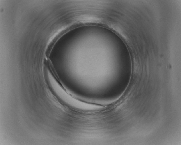 X0000071940391200607281949