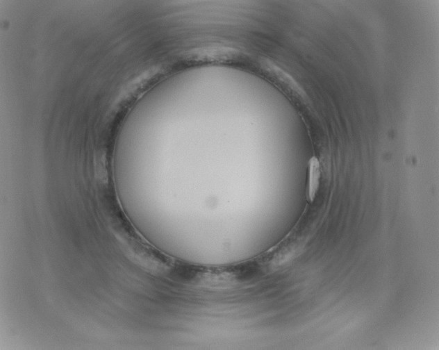 X0000071940403200607281948