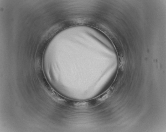X0000071940410200607281948