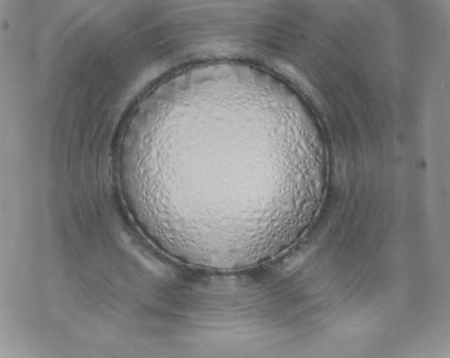 X0000071940439200607281947