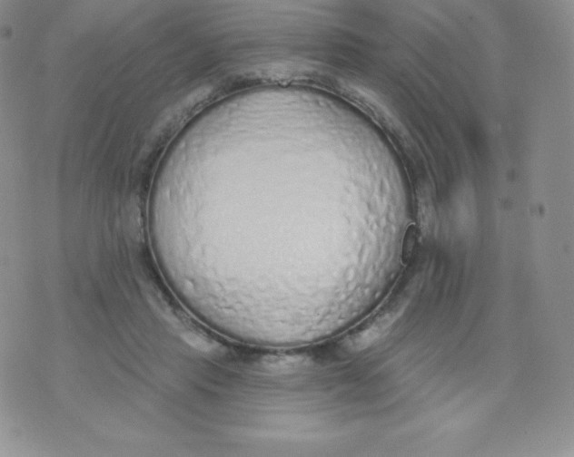 X0000071940453200607281947