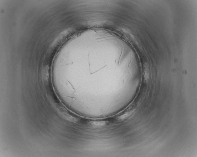 X0000071940495200607281947