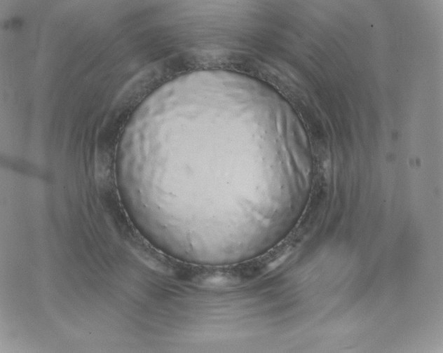 X0000071940507200607281947