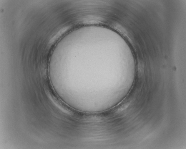 X0000071940533200607281946