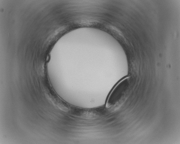 X0000071940596200607281945