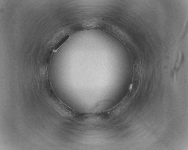 X0000071940601200607281945