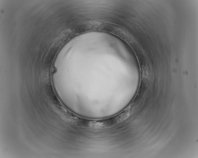 X0000071940602200607281945