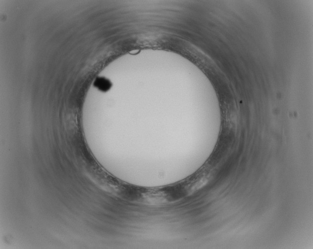 X0000071940603200607281945