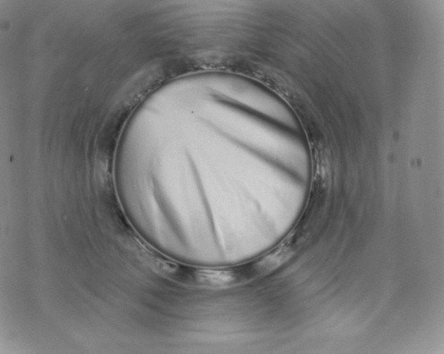 X0000071940610200607281945