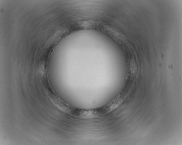 X0000071940611200607281945