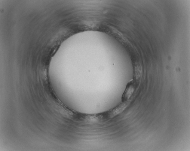 X0000071940613200607281945