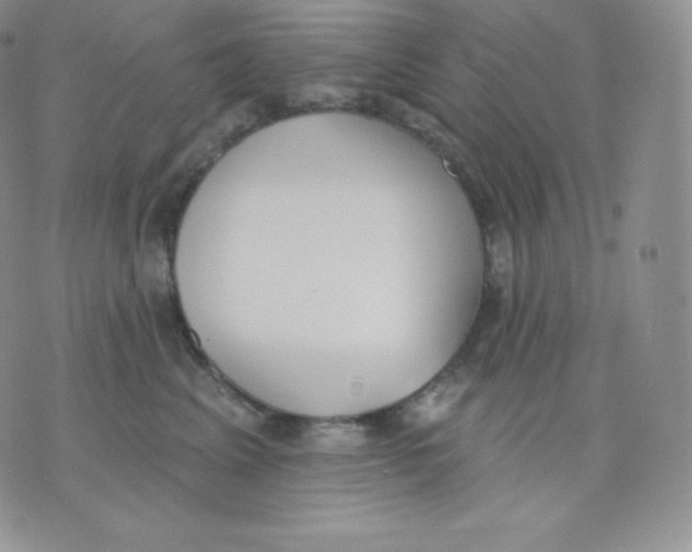 X0000071940617200607281945