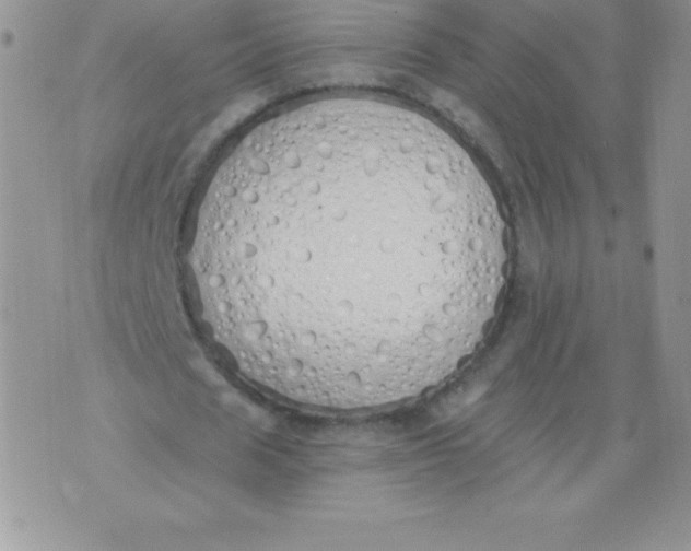 X0000071940625200607281944