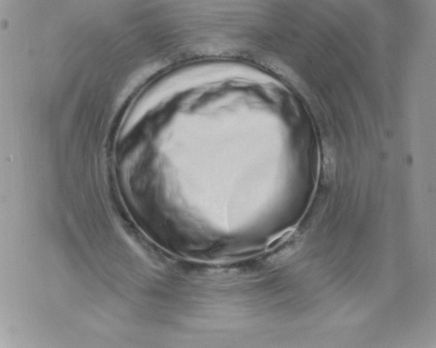 X0000071940626200607281944
