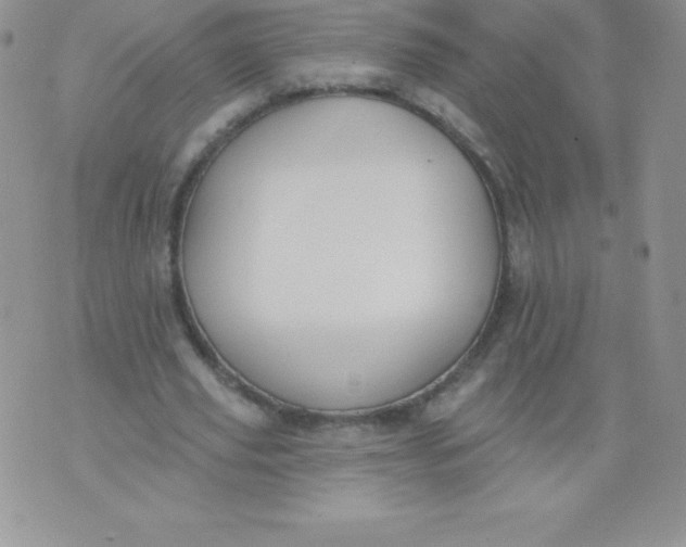 X0000071940629200607281944