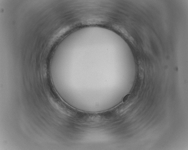 X0000071940631200607281944