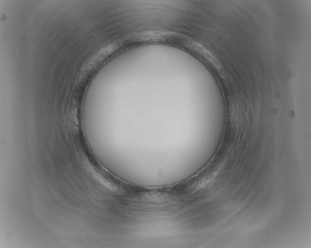 X0000071940633200607281944