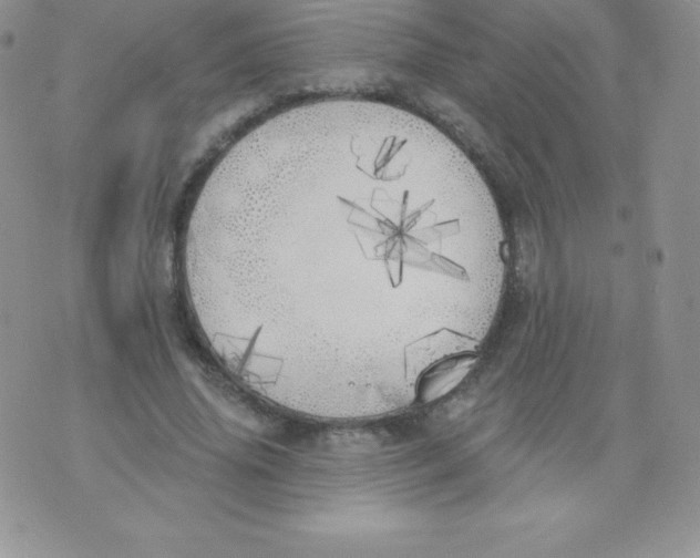 X0000071940636200607281944