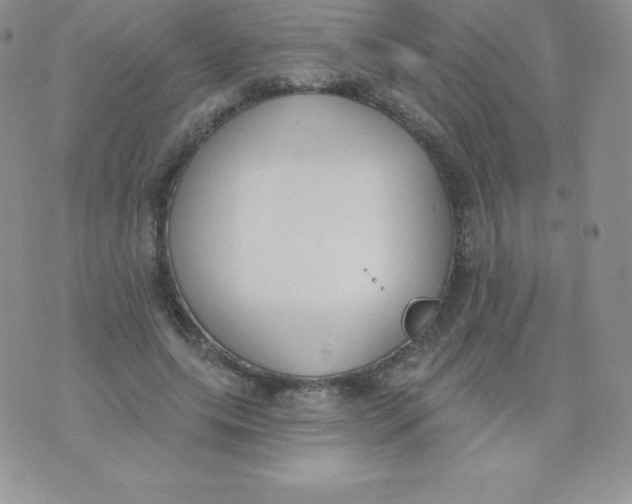 X0000071940639200607281944