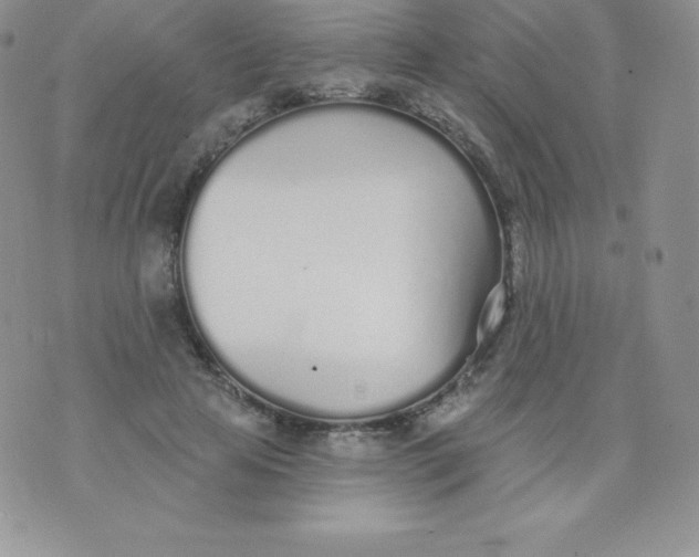 X0000071940641200607281944