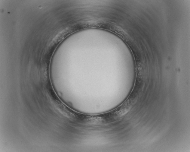 X0000071940642200607281944