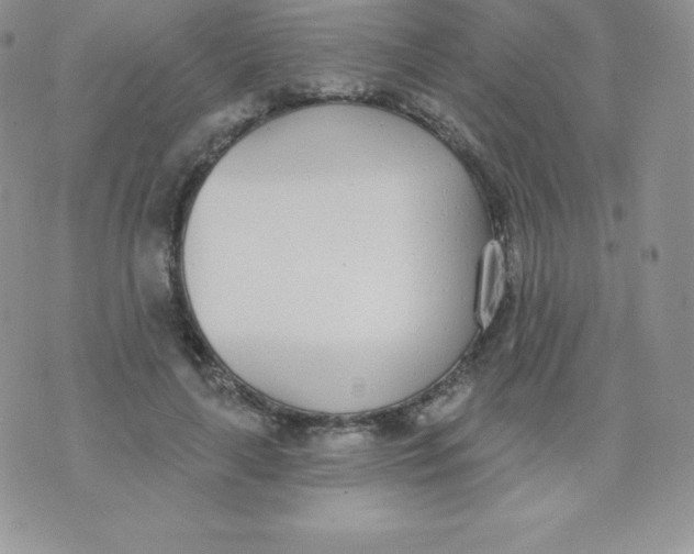 X0000071940643200607281944