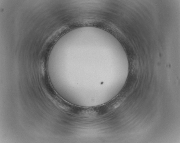 X0000071940644200607281944