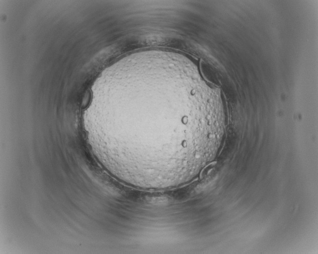 X0000071940645200607281944