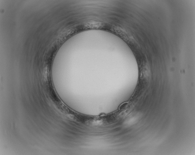 X0000071940647200607281944