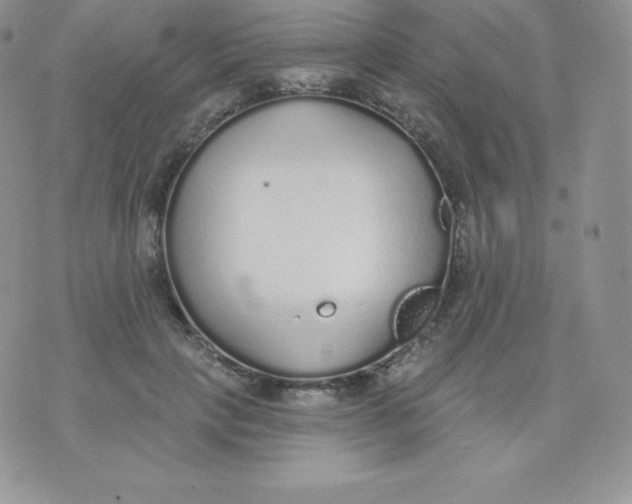 X0000071940649200607281944