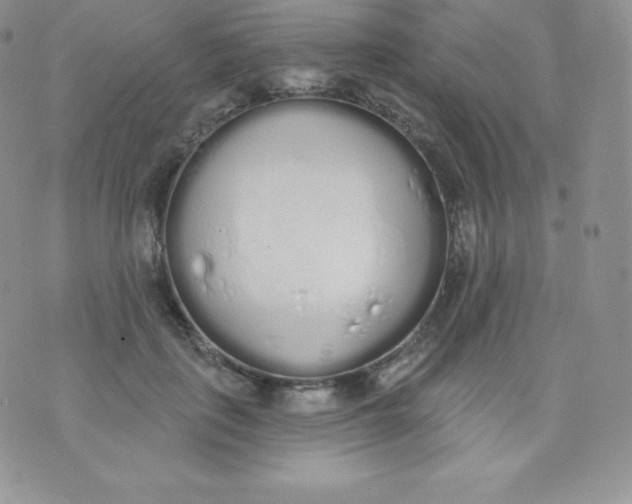 X0000071940651200607281944